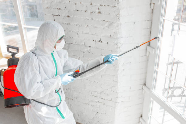 Why You Should Choose Our Mold Remediation Services in Raeford, NC