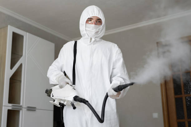 Mold Documentation for Insurance Claims in Raeford, NC